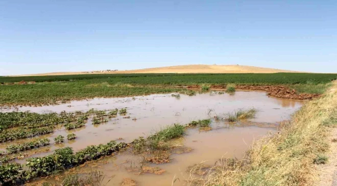 Şanlıurfa’da Tarımsal Sulama Nedeniyle Elektrik Tüketimi Üç Katına Çıktı